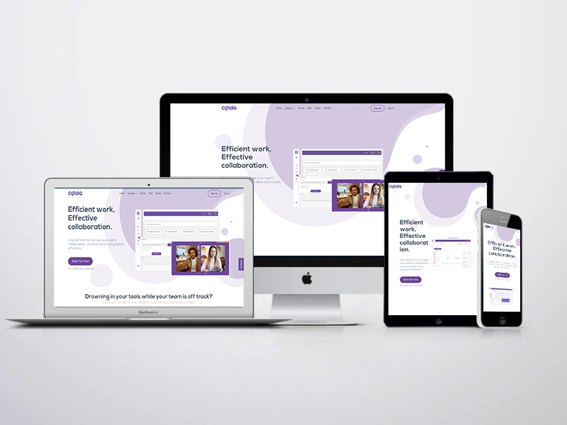Cynoia - Collaboration Platform